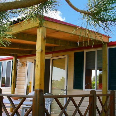 Camp Dole Zivogosce Otel Podgora Dış mekan fotoğraf